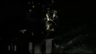 说谎的爱人 거짓말 애인 韩国三级